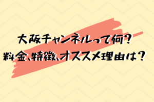 大阪チャンネル紹介用画像
